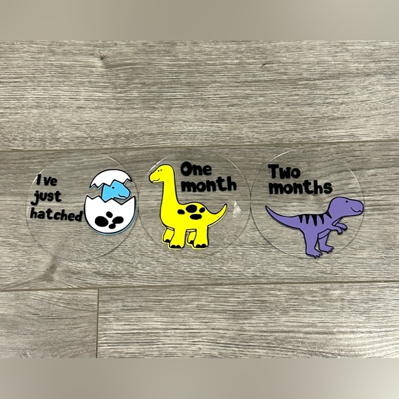 Dinosaur Baby Milestone Discs - Picture 2 of 6